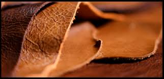 Eliminan Los Derechos De Exportación A Los Cueros